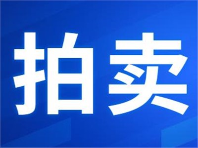 希爾得拍賣(mài)|衡東縣公共機(jī)構(gòu)屋頂光伏發(fā)電項(xiàng)目27年特許經(jīng)營(yíng)權(quán)拍賣(mài)公告