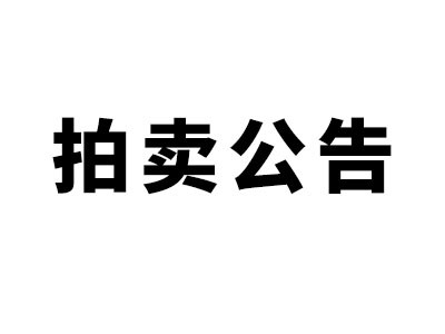 希爾得拍賣(mài)|抵稅財(cái)產(chǎn)第一次拍賣(mài)公告
